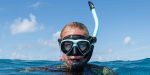 Stable Snorkel - Caribbean Blue Online Sale