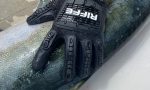 Holdfast Cut Resistant High Impact Glove Supply