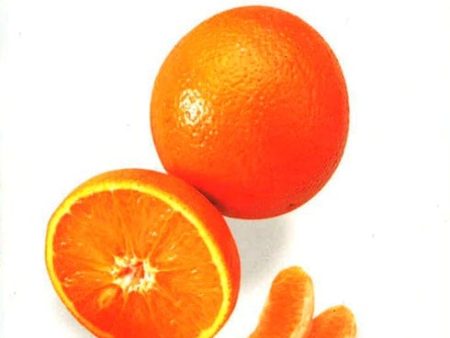 Vitamin C: Building Flexibility & Fighting Infection Cheap