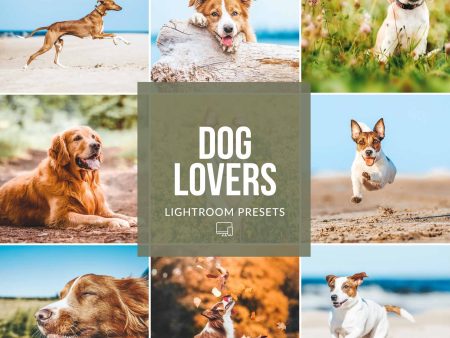 DOG LOVERS LIGHTROOM PRESETS Hot on Sale