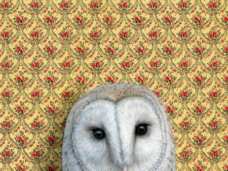 Emily Uchytil Barn Owl Fine Art Print Supply