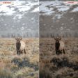 TWILIGHT LIGHTROOM PRESETS on Sale