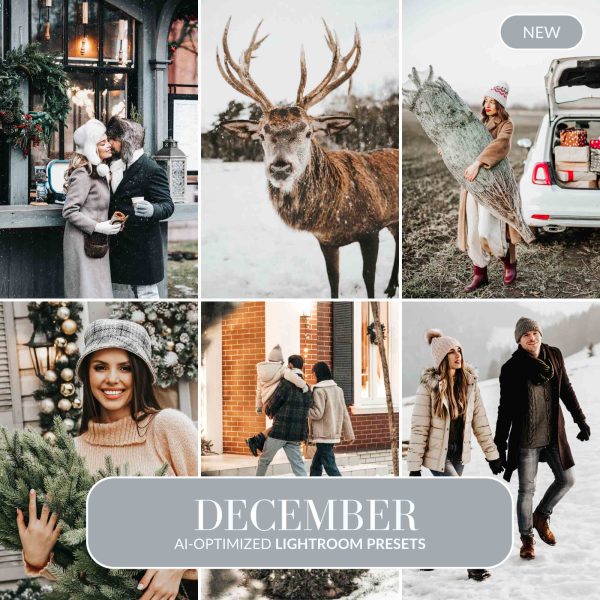 DECEMBER AI-OPTIMIZED LIGHTROOM PRESETS Supply
