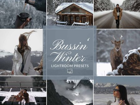 BUSSIN WINTER LIGHTROOM PRESETS For Discount