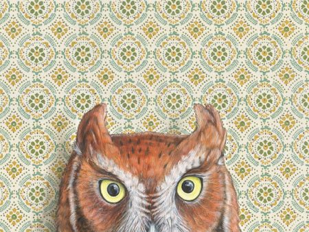 Emily Uchytil Screech Owl Fine Art Print For Cheap