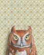 Emily Uchytil Screech Owl Fine Art Print For Cheap