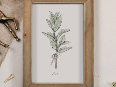 Blush and May Mint Sketch Graphite Art Print For Sale