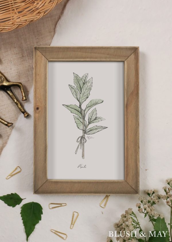 Blush and May Mint Sketch Graphite Art Print For Sale