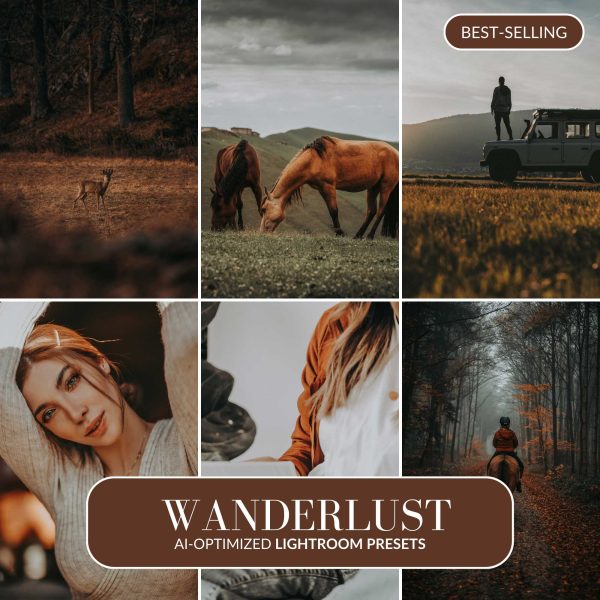 WANDERLUST AI-OPTIMIZED LIGHTROOM PRESETS For Sale