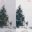 WINTER JOY LIGHTROOM PRESETS Online Sale