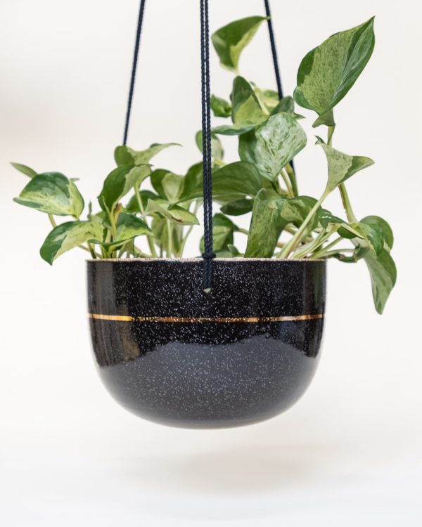 Rider Ceramics 6  Hanging Planter Stoneware Black Gold Pinstripe Cheap