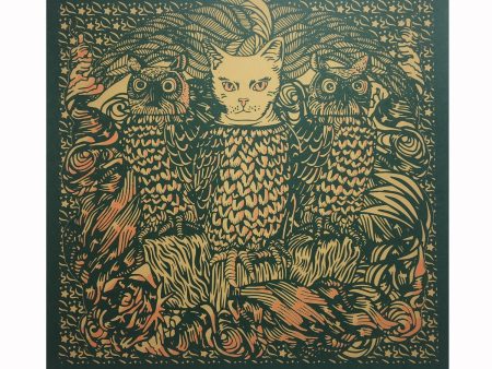 The 50 50 Company Owl Print on Sale