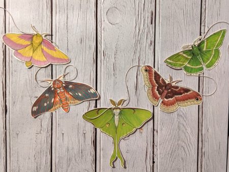 Sarah Draws Things Colorful Moth Garland Hot on Sale