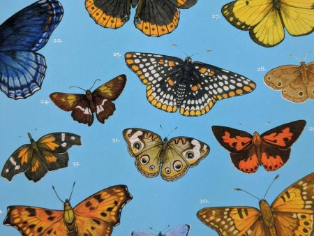 Sarah Ryan Butterflies of Philadelphia Print Discount