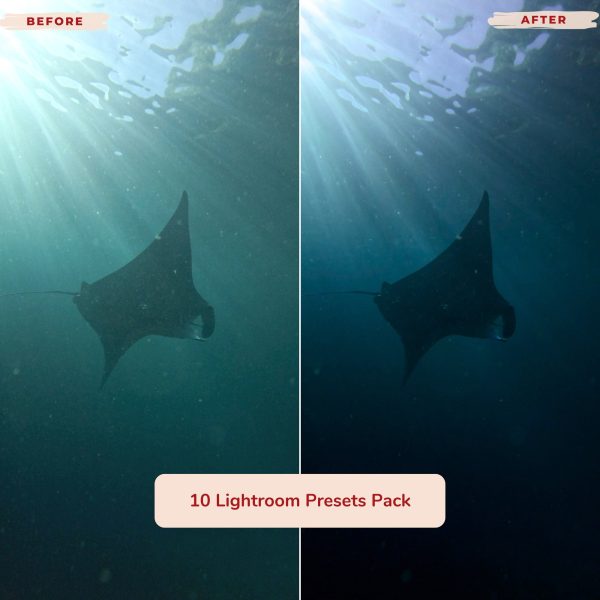 UNDERWATER LIGHTROOM PRESETS Hot on Sale