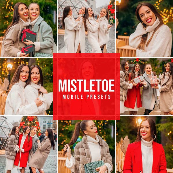 MISTLETOE LIGHTROOM PRESETS Online