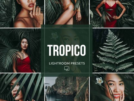 TROPICO LIGHTROOM PRESETS Cheap