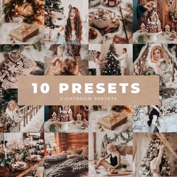 RUSTIC HOLIDAY LIGHTROOM PRESETS Sale