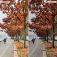 AUTUMN FILM LIGHTROOM PRESETS For Sale