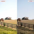 TWILIGHT LIGHTROOM PRESETS on Sale