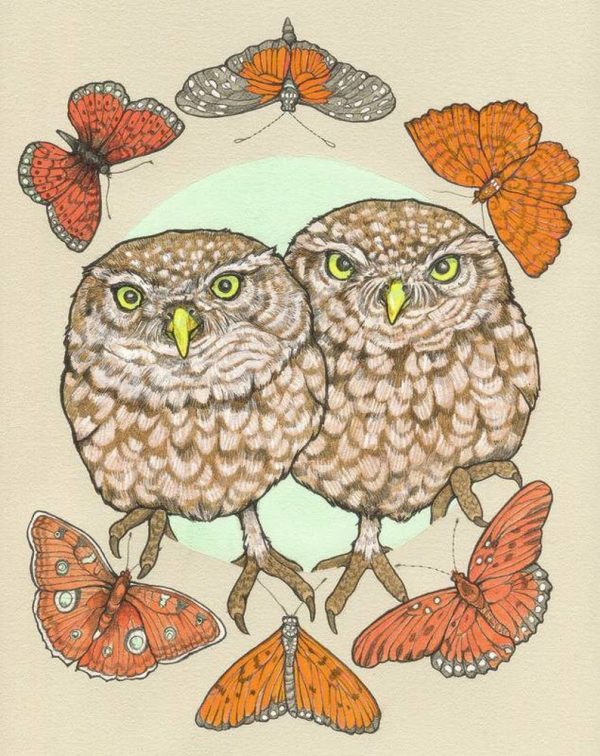 Sarah Draws Things Owl Sisters Print Discount