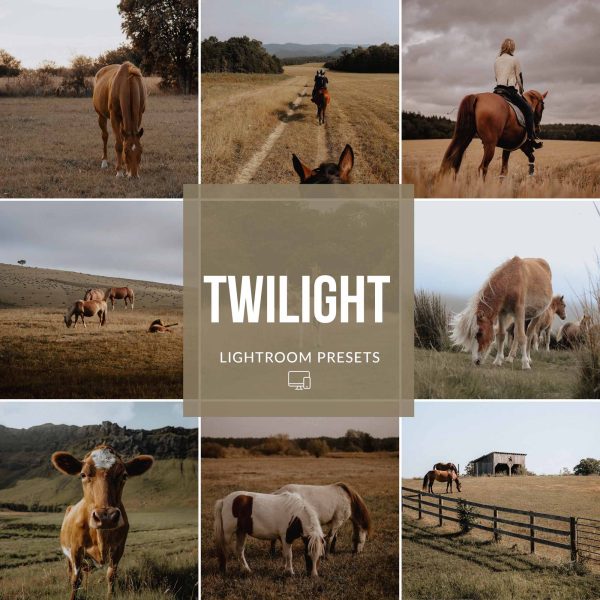 TWILIGHT LIGHTROOM PRESETS on Sale