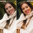 MISTLETOE LIGHTROOM PRESETS Online