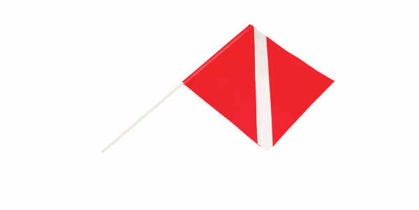 Torpedo Float Dive Flag with Pole Hot on Sale