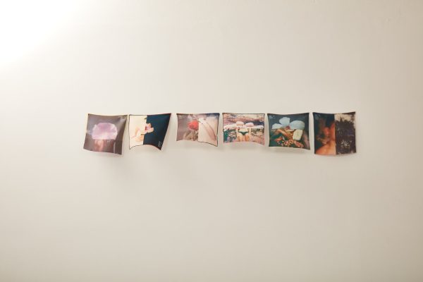 Polaroid Collage LXIV (2021) Sale