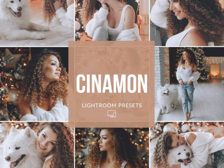 CINAMON MOBILE LIGHTROOM PRESETS Sale