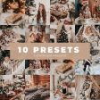 RUSTIC HOLIDAY AI-OPTIMIZED LIGHTROOM PRESETS For Cheap