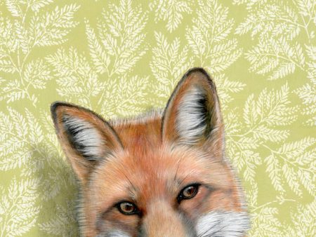 Emily Uchytil Red Fox Fine Art Print Discount