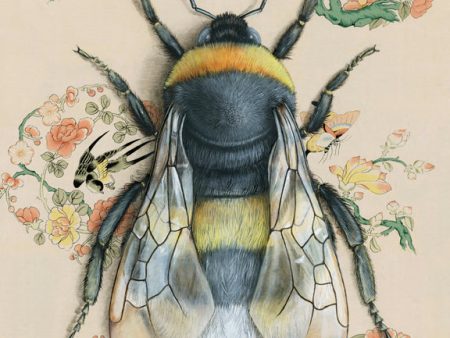 Emily Uchytil Bumblebee Fine Art Print Hot on Sale