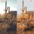 ARIZONA ROCKS VIDEO LUTS (MOBILE & DESKTOP) For Discount