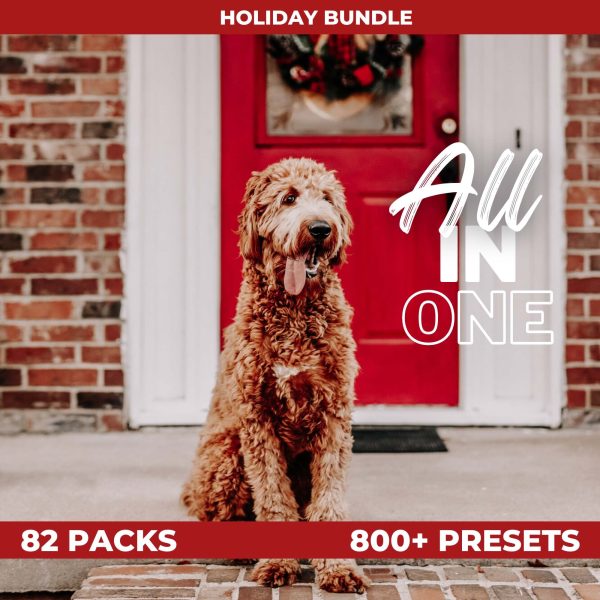 HOLIDAY ALL IN ONE BUNDLE (82 PACKS) Online now