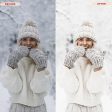 BRIGHT WINTER LIGHTROOM PRESETS Online Hot Sale