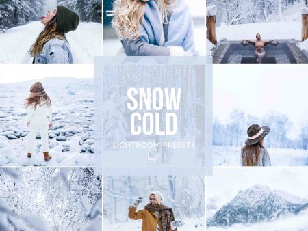 SNOW COLD LIGHTROOM PRESETS Cheap