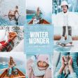 WINTER WONDER LIGHTROOM PRESETS Hot on Sale