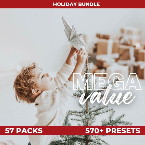 HOLIDAY BEST VALUE BUNDLE (57 PACKS) Cheap