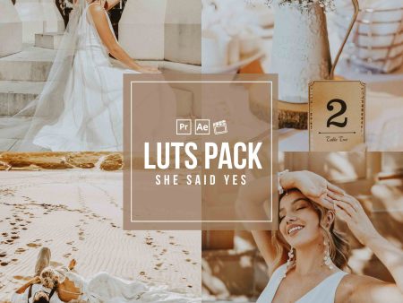 SHE SAID YES VIDEO LUTS (MOBILE & DESKTOP) Discount