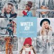 WINTER JOY LIGHTROOM PRESETS Online Sale