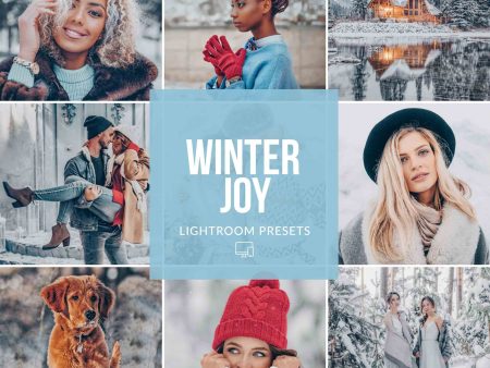 WINTER JOY LIGHTROOM PRESETS Online Sale