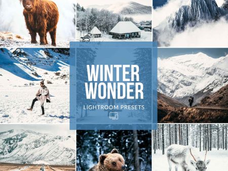 WINTER WONDERLAND LIGHTROOM PRESETS Hot on Sale