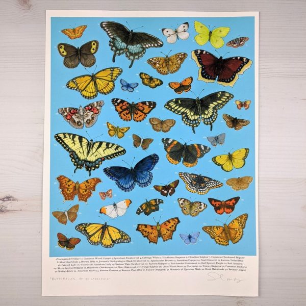 Sarah Ryan Butterflies of Philadelphia Print Discount