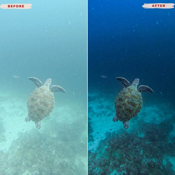 UNDERWATER LIGHTROOM PRESETS Hot on Sale