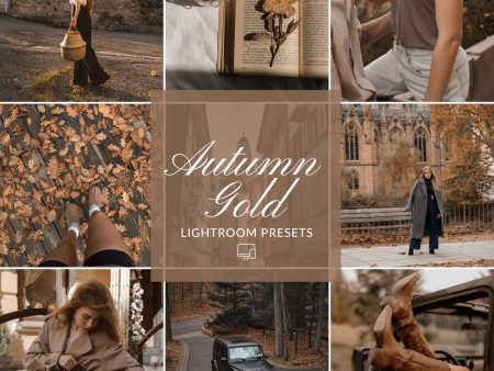 AUTUMN GOLD LIGHTROOM PRESETS For Discount