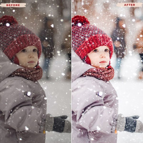 WHITE CHRISTMAS LIGHTROOM PRESETS Supply